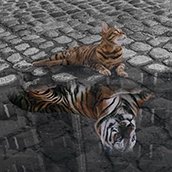 Animals by Jow Chance 2